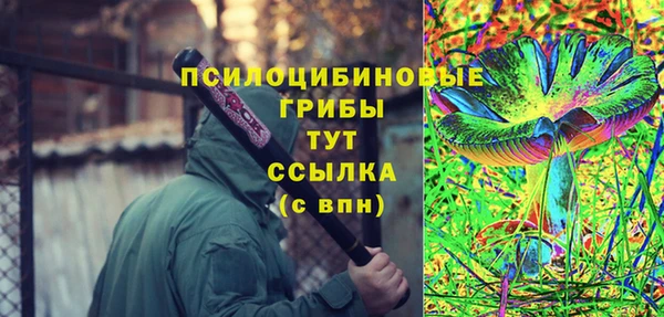 соль ск Горнозаводск