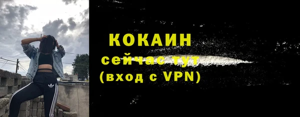 таблы Горняк