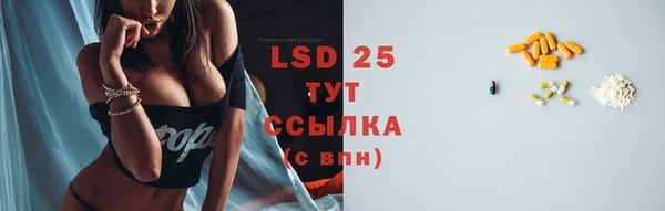 дурь Гусев