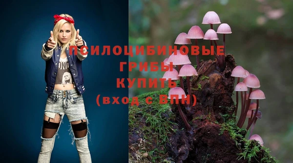 соль ск Горнозаводск